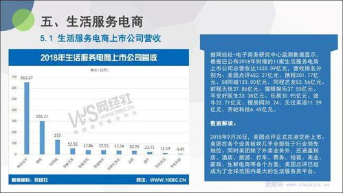电子商务研究中心 网经社 2018年度中国电商上市公司数据报告